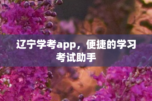 辽宁学考app，便捷的学习考试助手