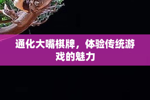 通化大嘴棋牌，体验传统游戏的魅力