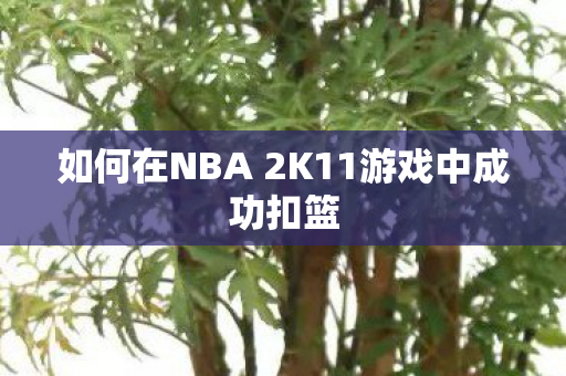 如何在NBA 2K11游戏中成功扣篮 如何在NBA 2K11游戏中成功扣篮