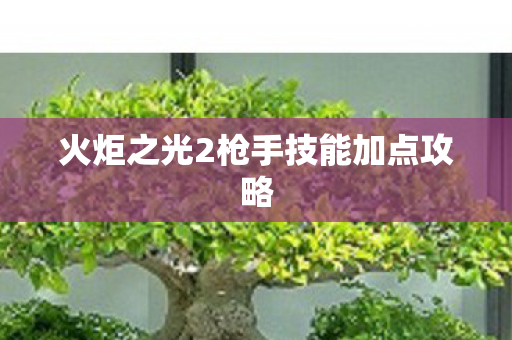 火炬之光2枪手技能加点攻略