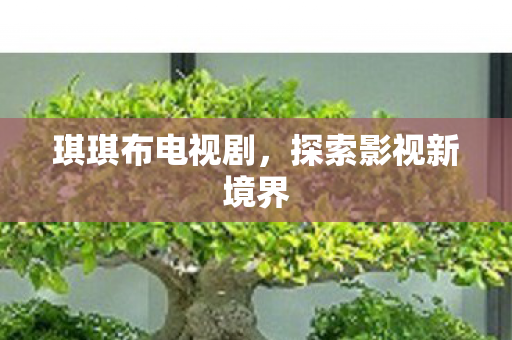 琪琪布电视剧，探索影视新境界