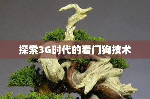 探索3G时代的看门狗技术