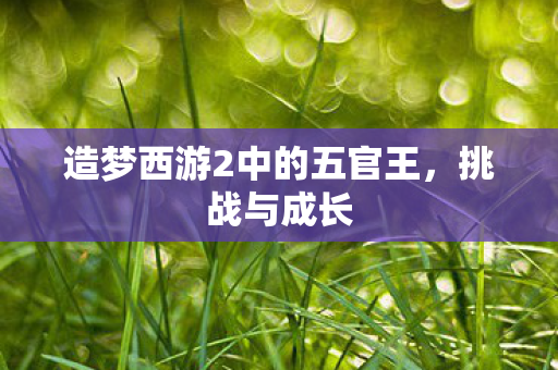 造梦西游2中的五官王,挑战与成长 造梦西游2中的五官王,挑战与成长