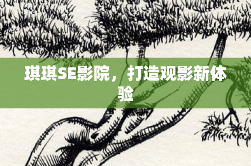 琪琪SE影院,打造观影新体验 琪琪SE影院,打造观影新体验