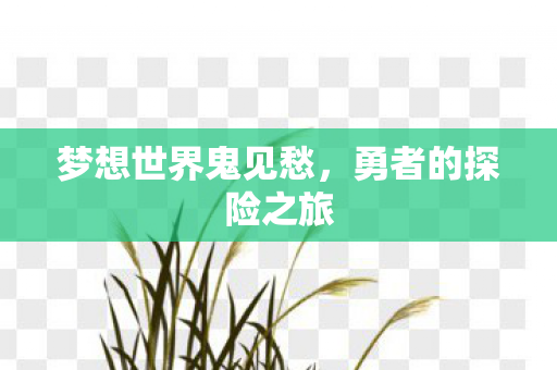 梦想世界鬼见愁,勇者的探险之旅 梦想世界鬼见愁,勇者的探险之旅