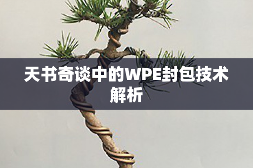 天书奇谈中的WPE封包技术解析 天书奇谈中的WPE封包技术解析