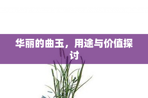 华丽的曲玉,用途与价值探讨 华丽的曲玉,用途与价值探讨