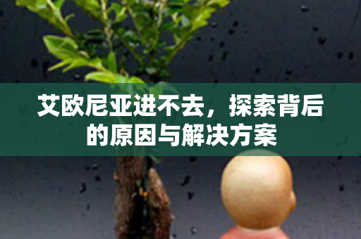 艾欧尼亚进不去,探索背后的原因与解决方案 艾欧尼亚进不去,探索背后的原因与解决方案