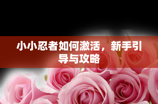 小小忍者如何激活,新手引导与攻略 小小忍者如何激活,新手引导与攻略