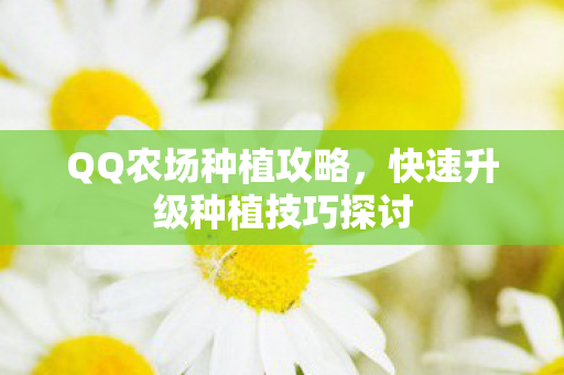 QQ农场种植攻略，快速升级种植技巧探讨