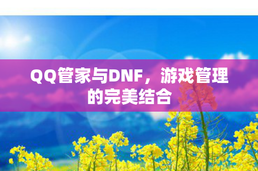 QQ管家与DNF,游戏管理的完美结合 QQ管家与DNF,游戏管理的完美结合