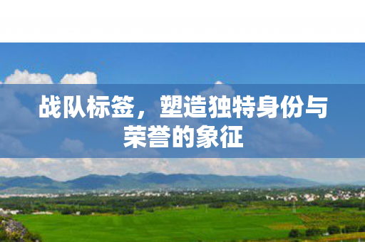战队标签，塑造独特身份与荣誉的象征