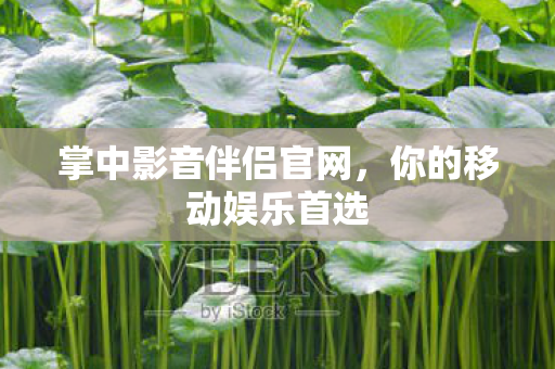 掌中影音伴侣官网，你的移动娱乐首选