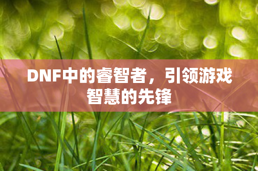 DNF中的睿智者,引领游戏智慧的先锋 DNF中的睿智者,引领游戏智慧的先锋