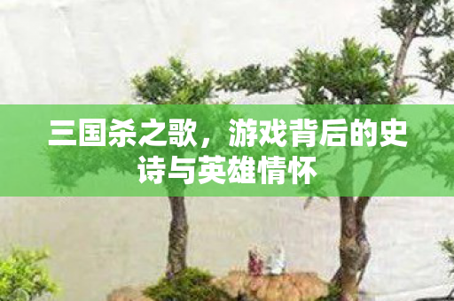 三国杀之歌,游戏背后的史诗与英雄情怀 三国杀之歌,游戏背后的史诗与英雄情怀