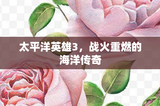 太平洋英雄3,战火重燃的海洋传奇 太平洋英雄3,战火重燃的海洋传奇