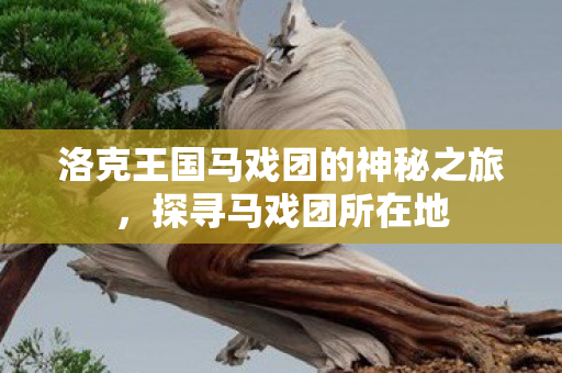 洛克王国马戏团的神秘之旅,探寻马戏团所在地 洛克王国马戏团的神秘之旅,探寻马戏团所在地