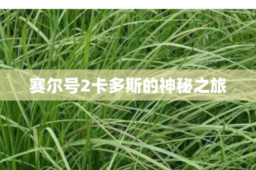 赛尔号2卡多斯的神秘之旅 赛尔号2卡多斯的神秘之旅
