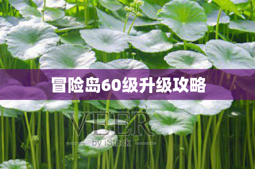 冒险岛60级升级攻略