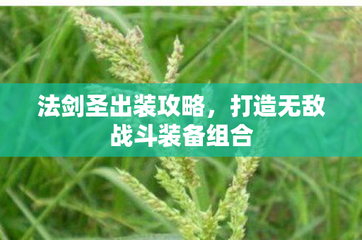 法剑圣出装攻略，打造无敌战斗装备组合