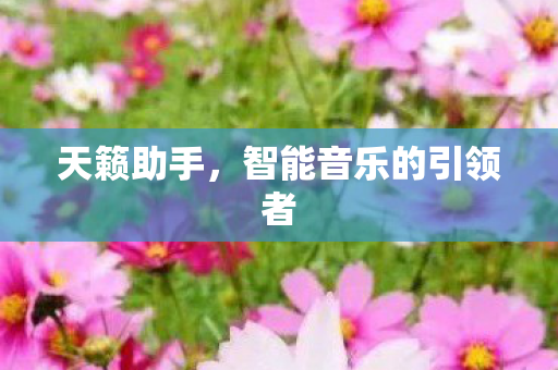 天籁助手,智能音乐的引领者 天籁助手,智能音乐的引领者