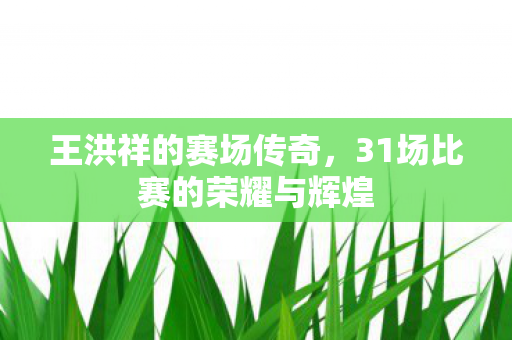 王洪祥的赛场传奇，31场比赛的荣耀与辉煌