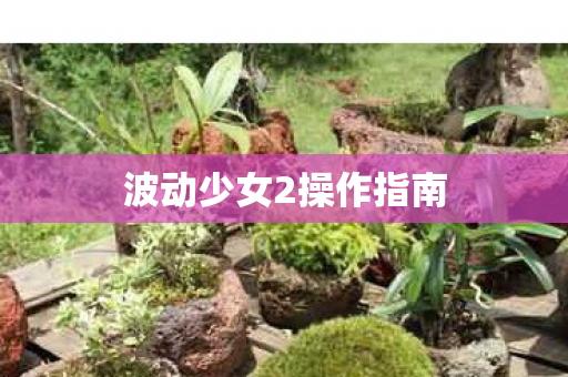 波动少女2操作指南 波动少女2操作指南