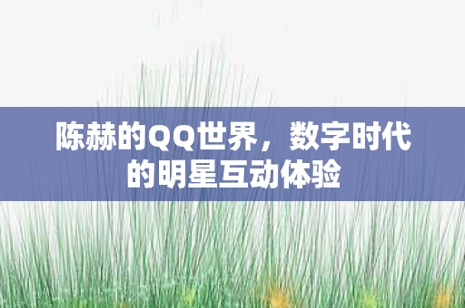 陈赫的QQ世界，数字时代的明星互动体验