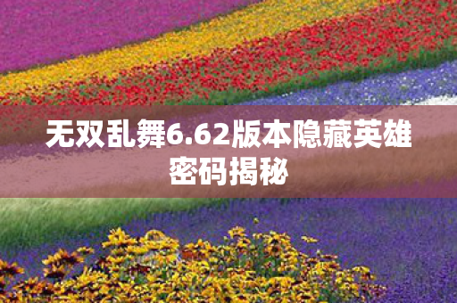 无双乱舞6.62版本隐藏英雄密码揭秘
