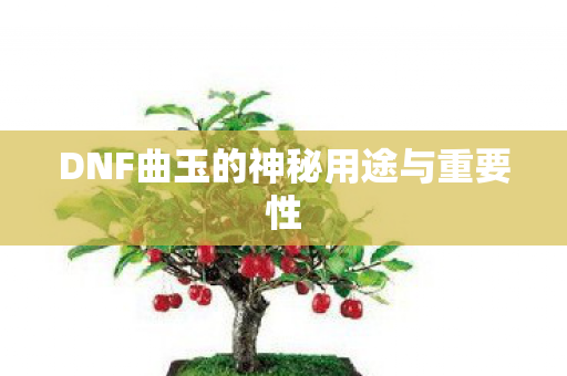 DNF曲玉的神秘用途与重要性