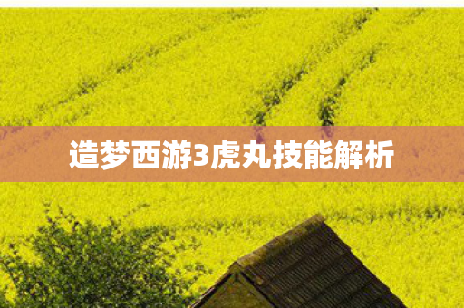 造梦西游3虎丸技能解析 造梦西游3虎丸技能解析