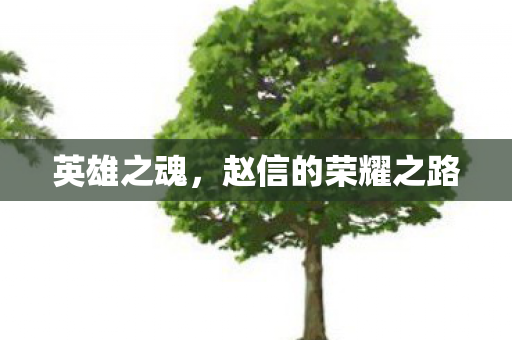 英雄之魂,赵信的荣耀之路 英雄之魂,赵信的荣耀之路