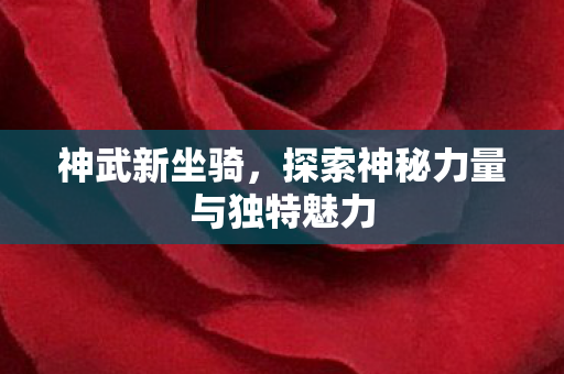 神武新坐骑,探索神秘力量与独特魅力 神武新坐骑,探索神秘力量与独特魅力