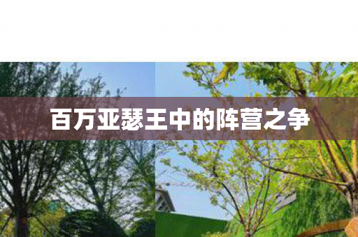 百万亚瑟王中的阵营之争 百万亚瑟王中的阵营之争