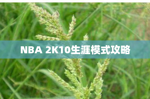 NBA 2K10生涯模式攻略 NBA 2K10生涯模式攻略
