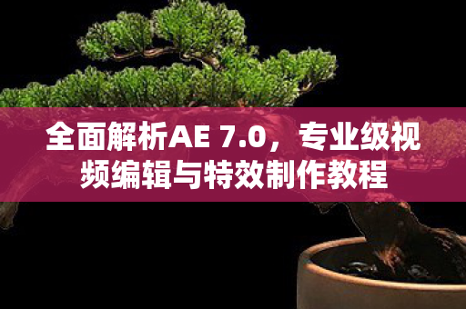 全面解析AE 7.0,专业级视频编辑与特效制作教程 全面解析AE 7.0,专业级视频编辑与特效制作教程