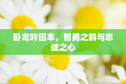 卧龙吟田丰，智勇之韵与忠诚之心
