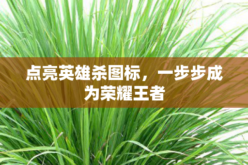 点亮英雄杀图标,一步步成为荣耀王者 点亮英雄杀图标,一步步成为荣耀王者