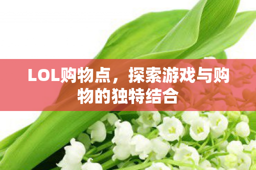 LOL购物点，探索游戏与购物的独特结合