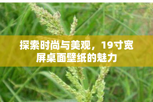 探索时尚与美观,19寸宽屏桌面壁纸的魅力 探索时尚与美观,19寸宽屏桌面壁纸的魅力