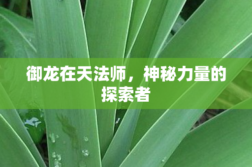 御龙在天法师,神秘力量的探索者 御龙在天法师,神秘力量的探索者