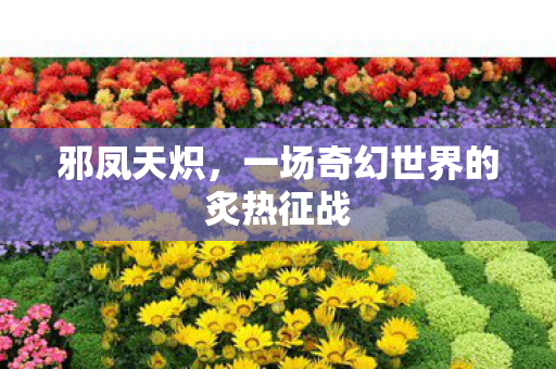 邪凤天炽,一场奇幻世界的炙热征战 邪凤天炽,一场奇幻世界的炙热征战