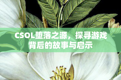 CSOL堕落之源,探寻游戏背后的故事与启示 CSOL堕落之源,探寻游戏背后的故事与启示