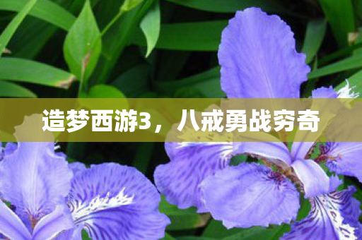 造梦西游3，八戒勇战穷奇