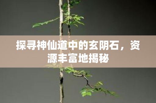 探寻神仙道中的玄阴石,资源丰富地揭秘 探寻神仙道中的玄阴石,资源丰富地揭秘