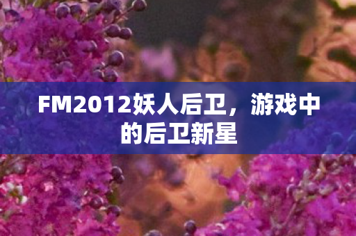 FM2012妖人后卫,游戏中的后卫新星 FM2012妖人后卫,游戏中的后卫新星