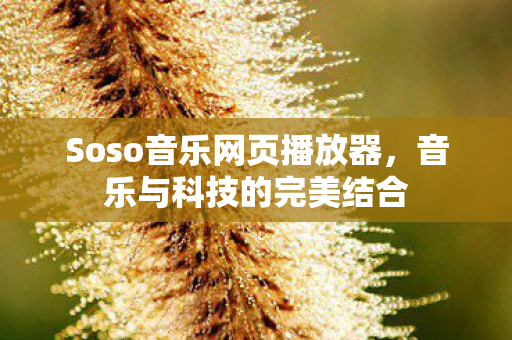 Soso音乐网页播放器,音乐与科技的完美结合 Soso音乐网页播放器,音乐与科技的完美结合