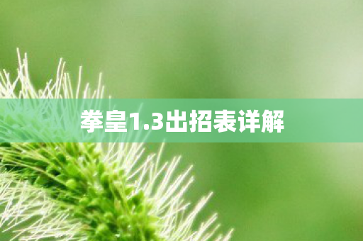 拳皇1.3出招表详解 拳皇1.3出招表详解