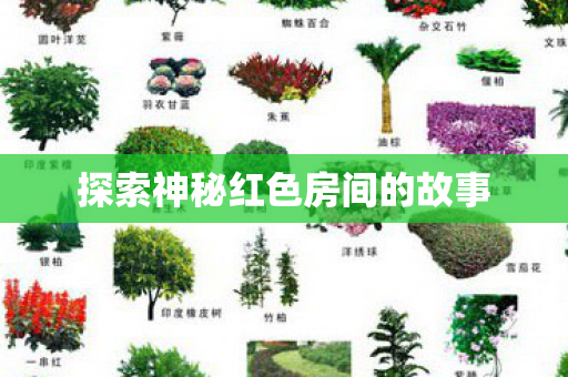 探索神秘红色房间的故事 探索神秘红色房间的故事
