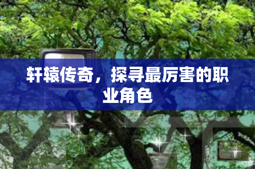 轩辕传奇,探寻最厉害的职业角色 轩辕传奇,探寻最厉害的职业角色
